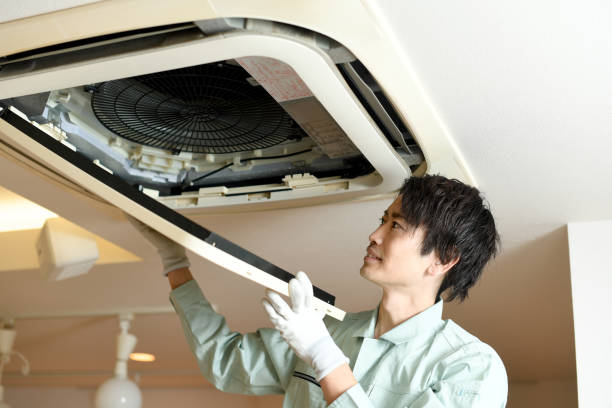 Best Ductwork Cleaning Services  in Croswell, MI