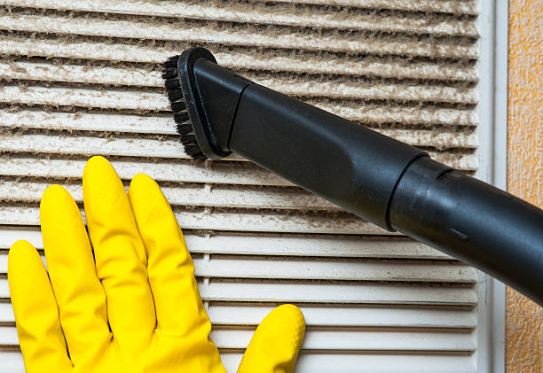 Best Ventilation Cleaning Services  in Croswell, MI